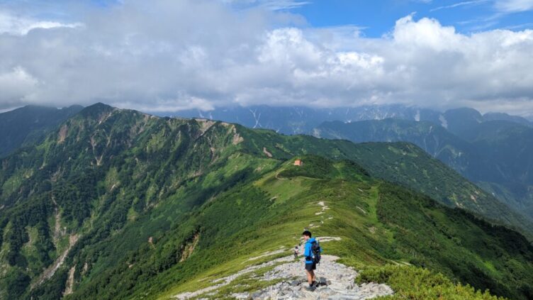 Hiking Bear | In Japan! Hiking・Camping・traveling Spot